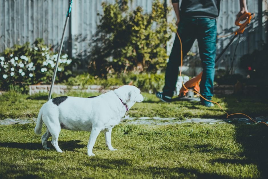 Cordless Mower vs Corded Mower — What is a Corded Mower?