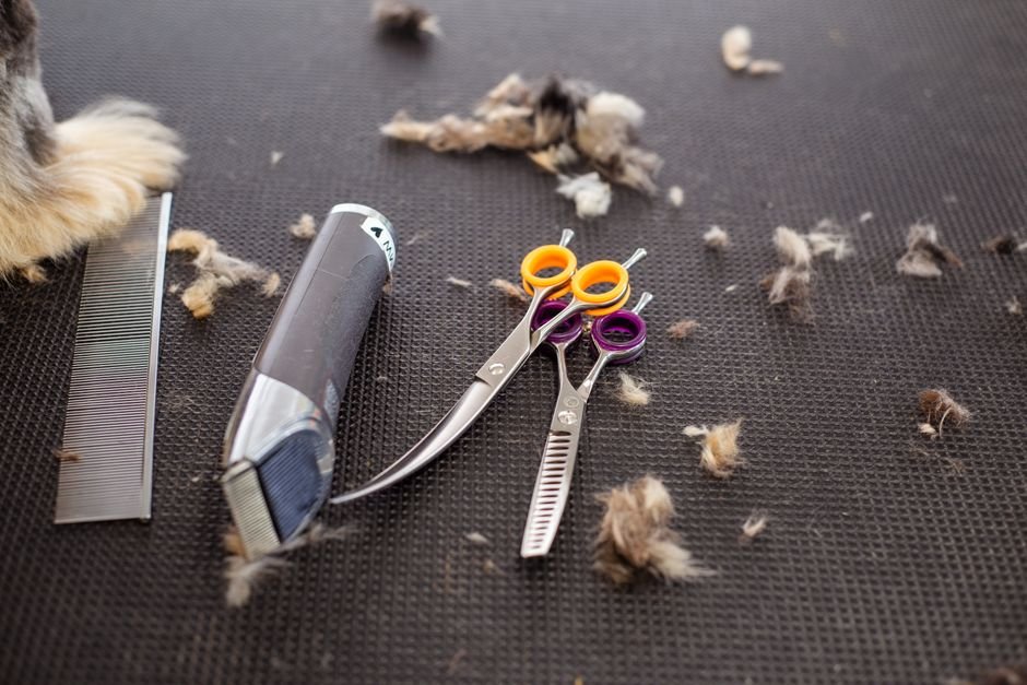 Cordless Trimmer vs Gas Trimmer — What is a Cordless Trimmer?