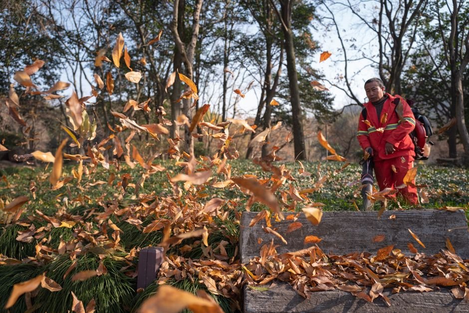 Stihl Leaf Blower vs Husqvarna Leaf Blower — Air Speed & Air Volume Comparison
