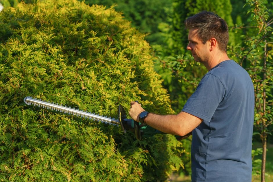 Chainsaw vs Hedge Trimmer — What Is a Chainsaw?