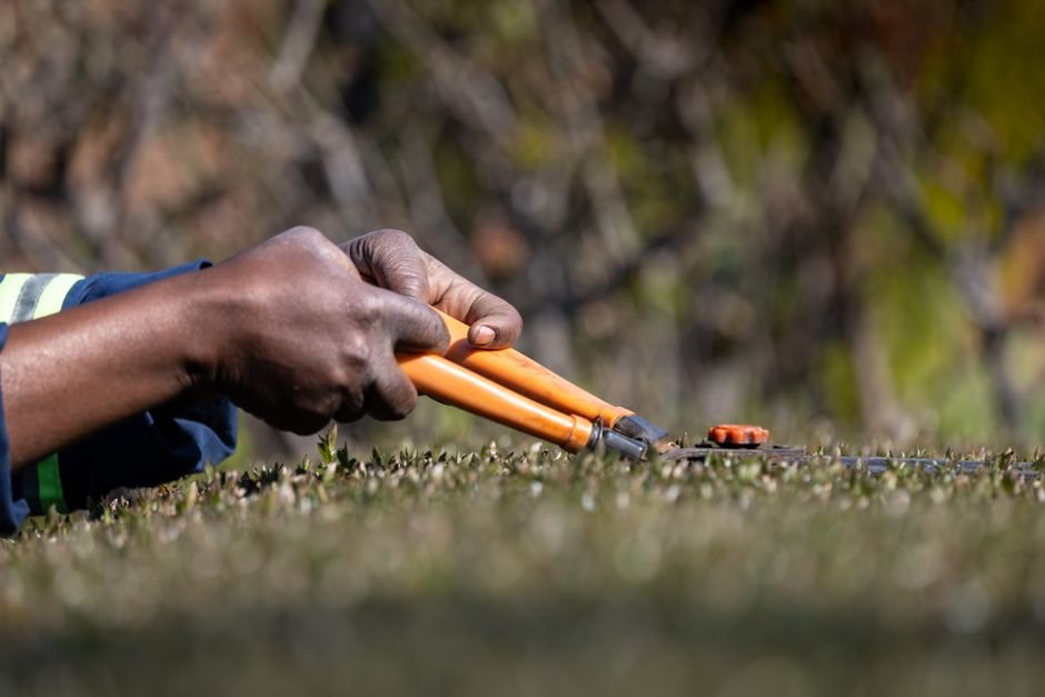 Chainsaw vs Hedge Trimmer — What Is a Hedge Trimmer?