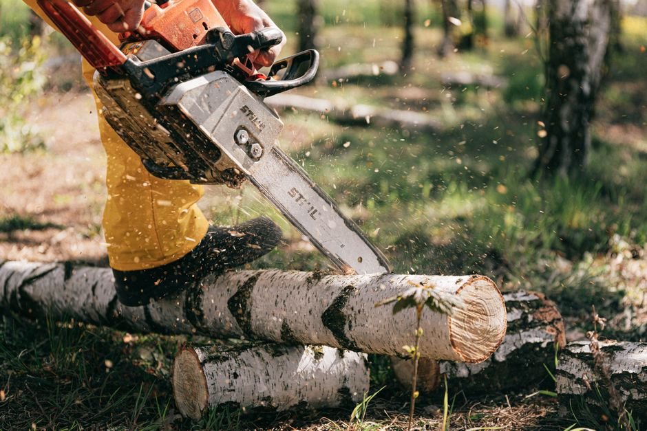 Mini Chainsaw vs Full-Size Chainsaw — What Is a Full-Size Chainsaw?