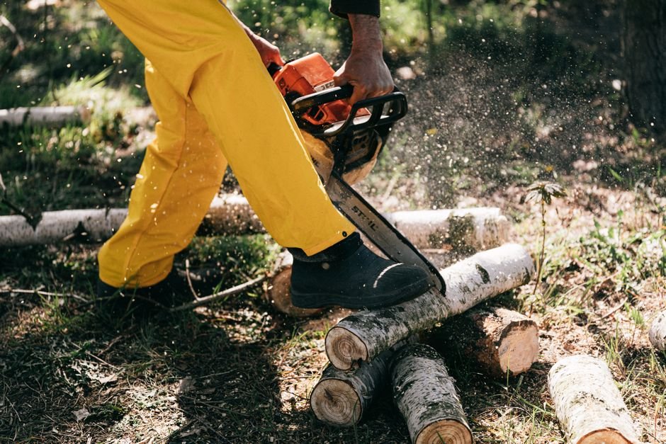 Professional Chainsaw vs Homeowner Chainsaw — Purpose and Intended Use