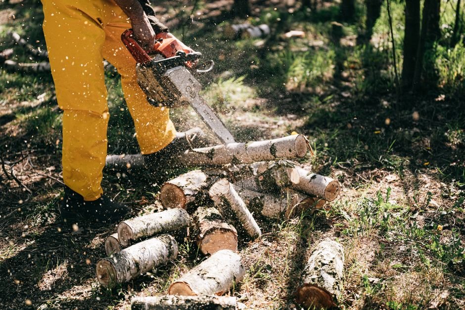 Professional Chainsaw vs Homeowner Chainsaw — Engine Power and Performance