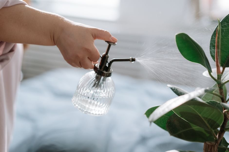 Evaporative Humidifier vs Steam Humidifier — What Is an Evaporative Humidifier?