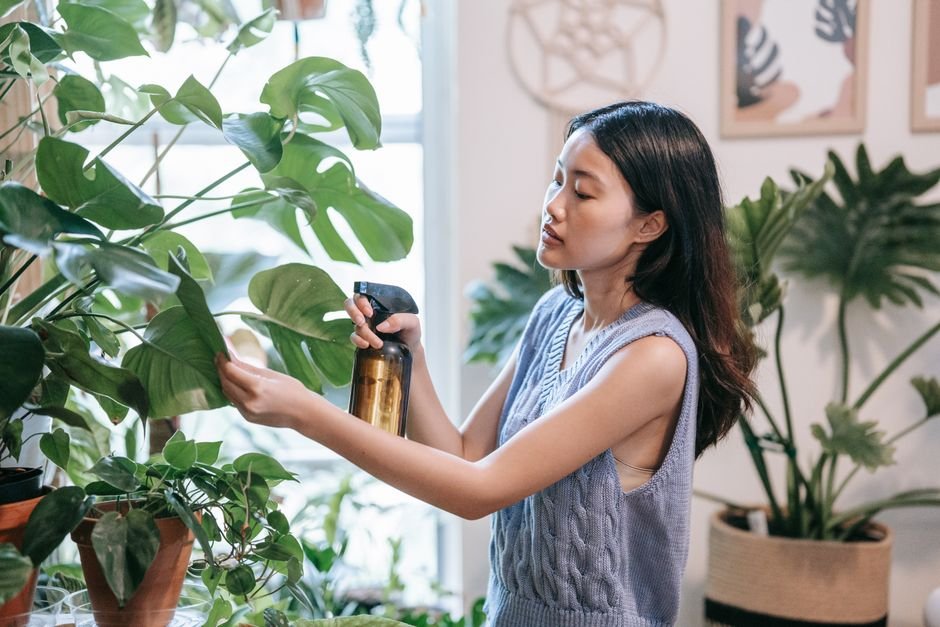 Humidifier vs Air Purifier — What Is an Air Purifier?