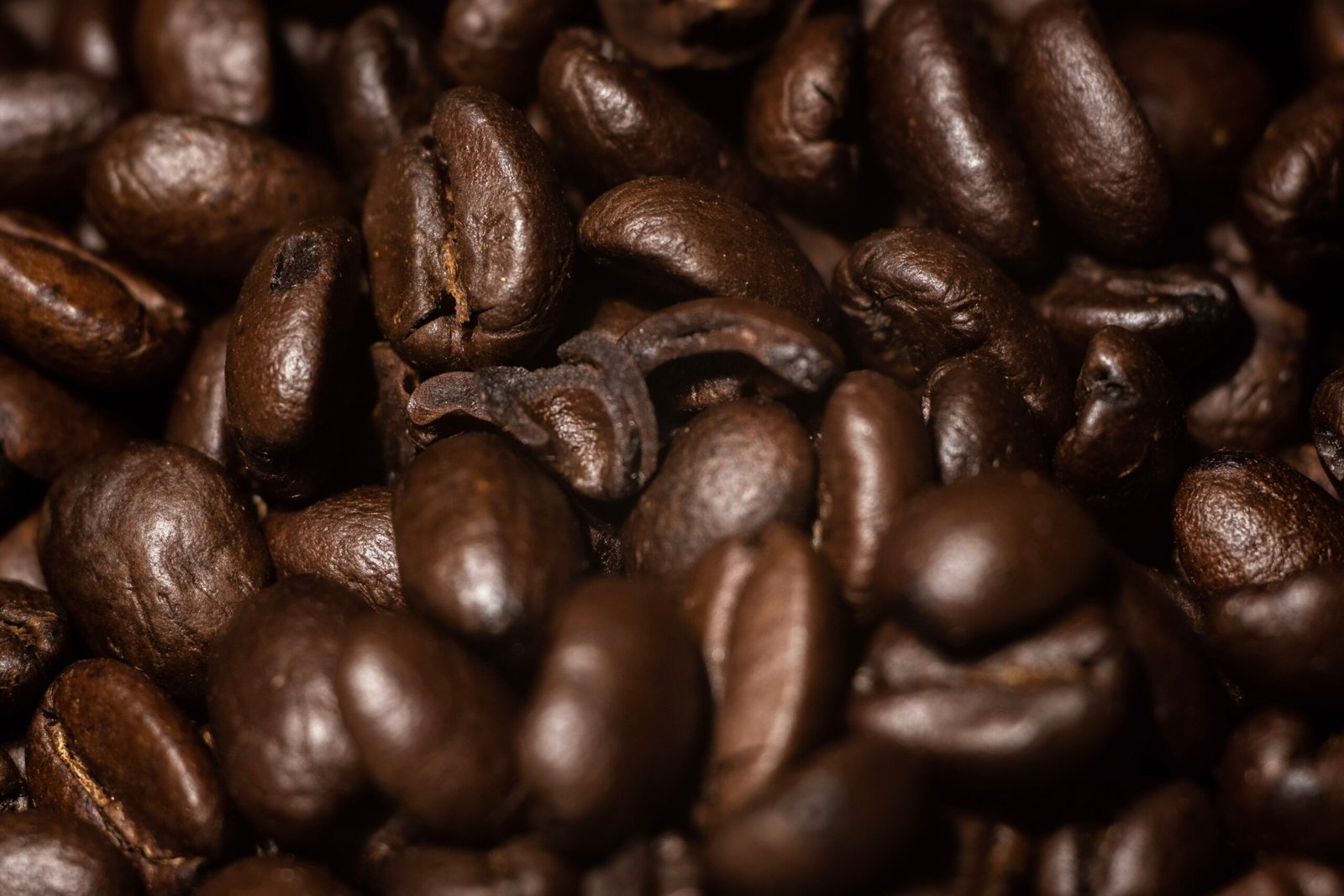 Understanding Coffee Bean Varieties