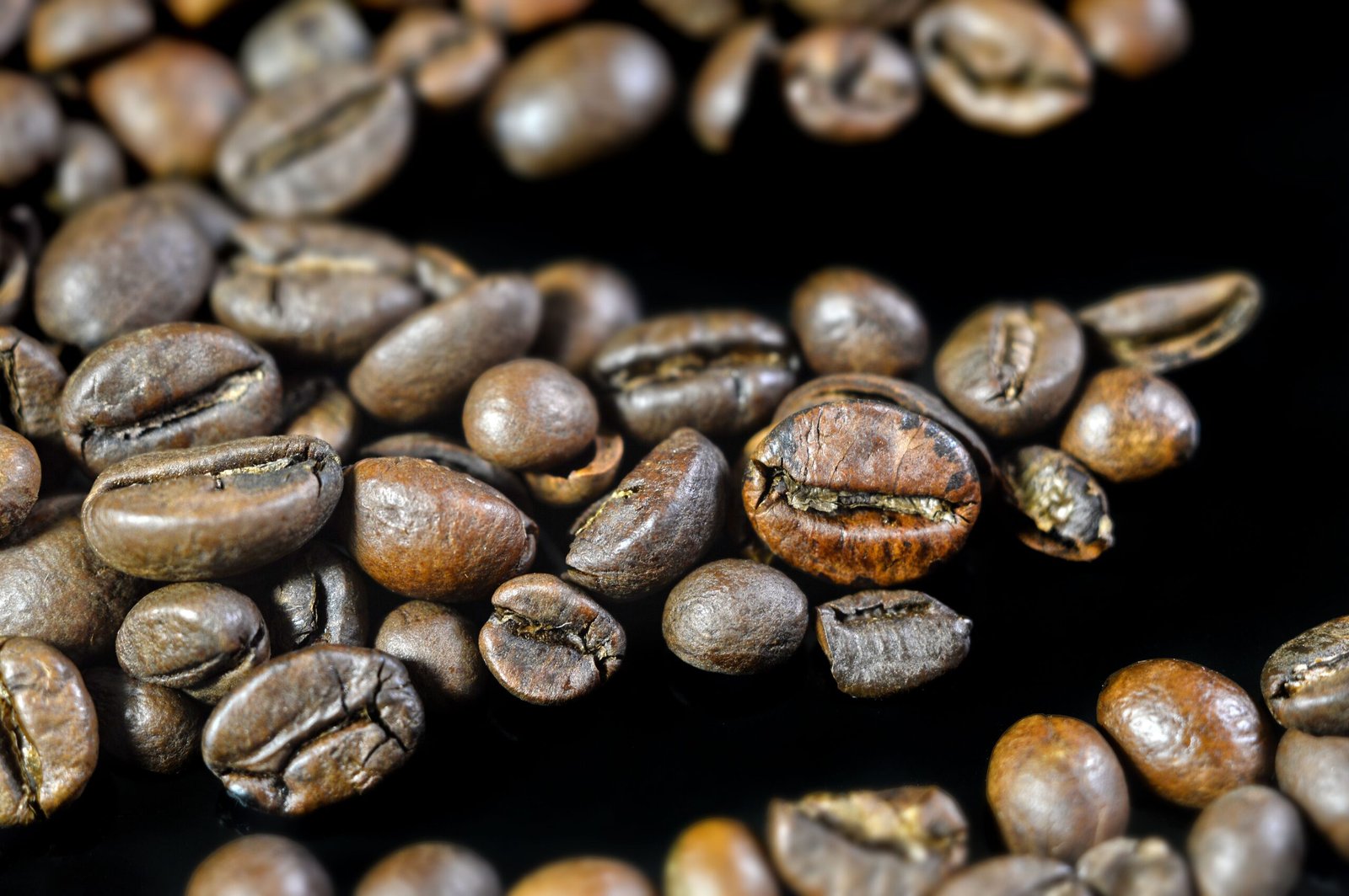 Types of Coffee Beans: Discover 5 Unique Varieties Explained