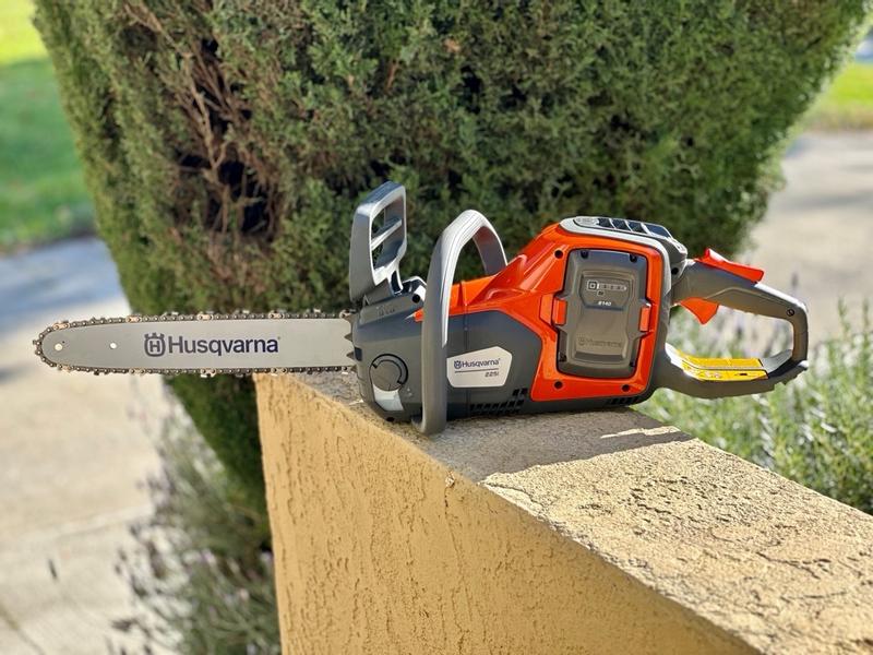 Best Electric Chainsaws
