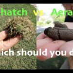 Lawn dethatcher vs aerator