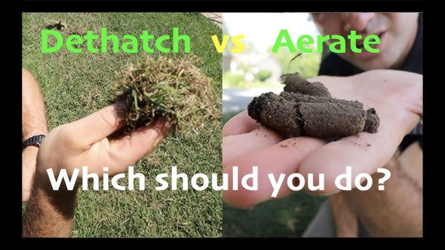 Lawn dethatcher vs aerator