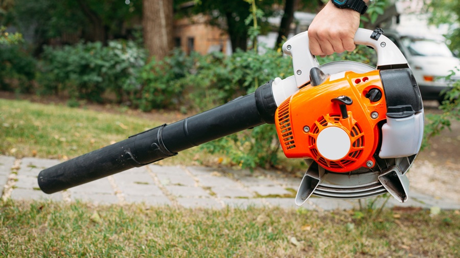 Leaf Blower vs Lawn Vacuum