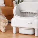 Best Litter Robot