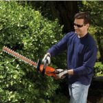 Best Hedge Trimmer