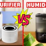 humidifier vs air purifier
