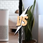 air purifier vs ionizer
