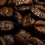 best coffee beans for cold brew