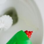how to clean a toilet bowl